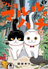 Komik-Tsureneko-Maruru-to-Hachi-225×319.png